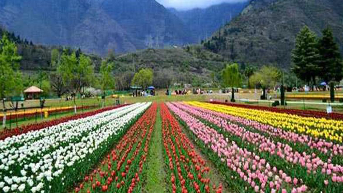 Kashmir Tourist Package